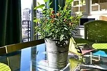 Swaen Hotel Amsterdam